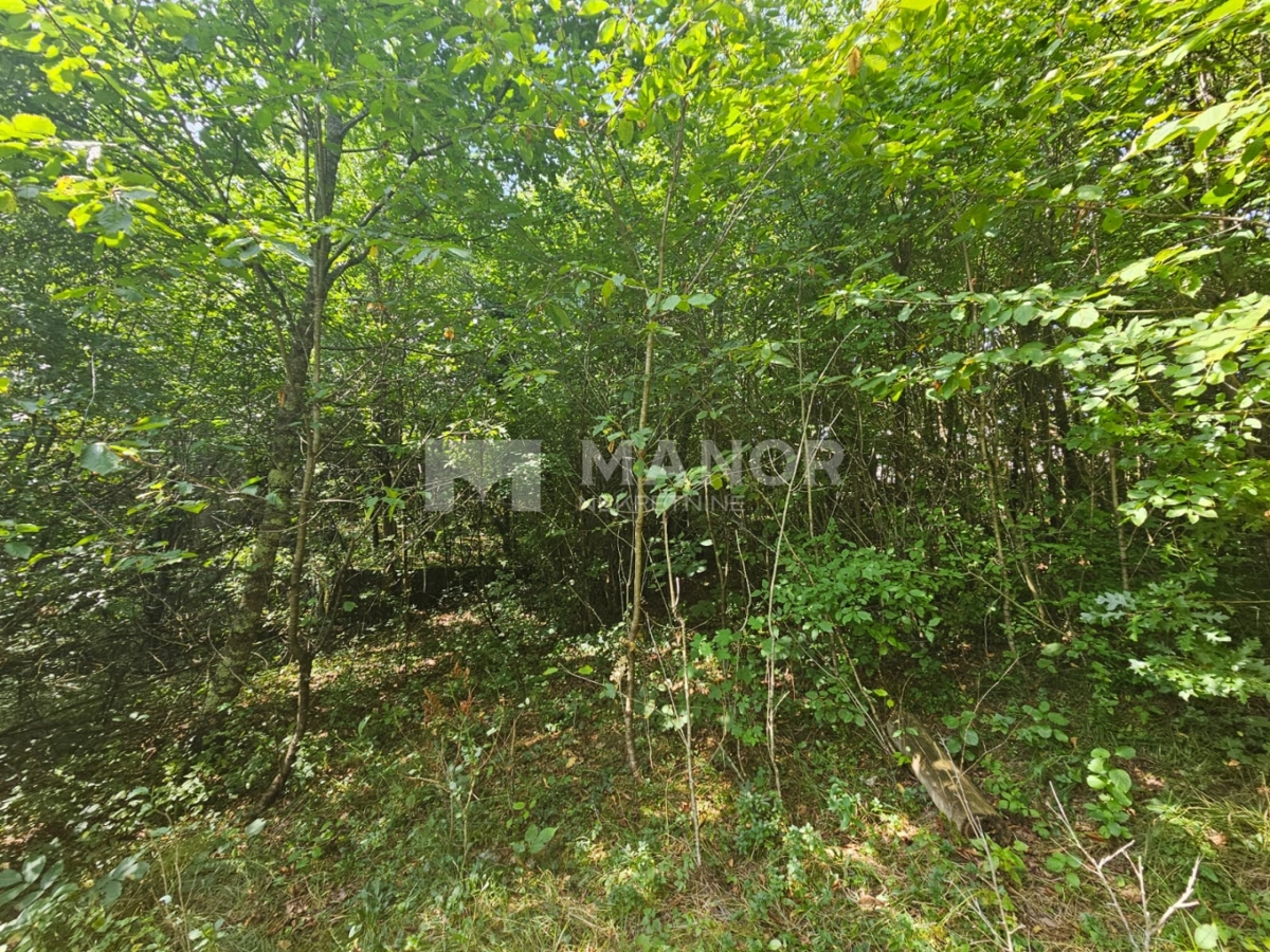 Terreno edificabile Pasjak, Matulji, 2.450m2