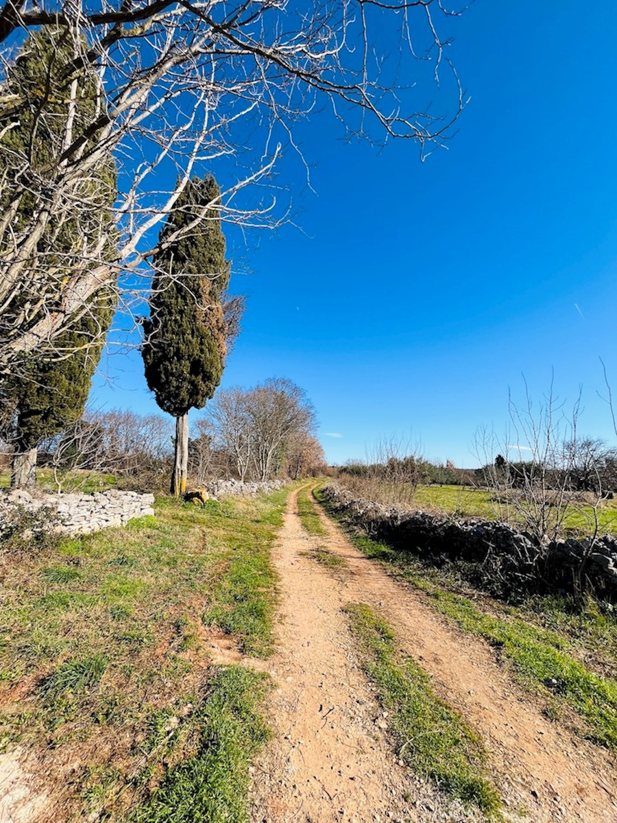 Istria, Marčana: La tua oasi di pace nel cuore dell'Istria