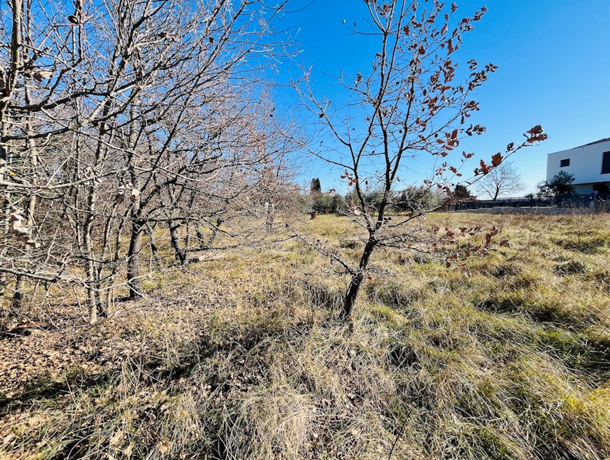 Istria, Marčana: La tua oasi di pace nel cuore dell'Istria