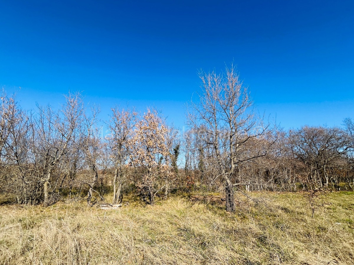 Istria - building plot, your Mediterranean escape!