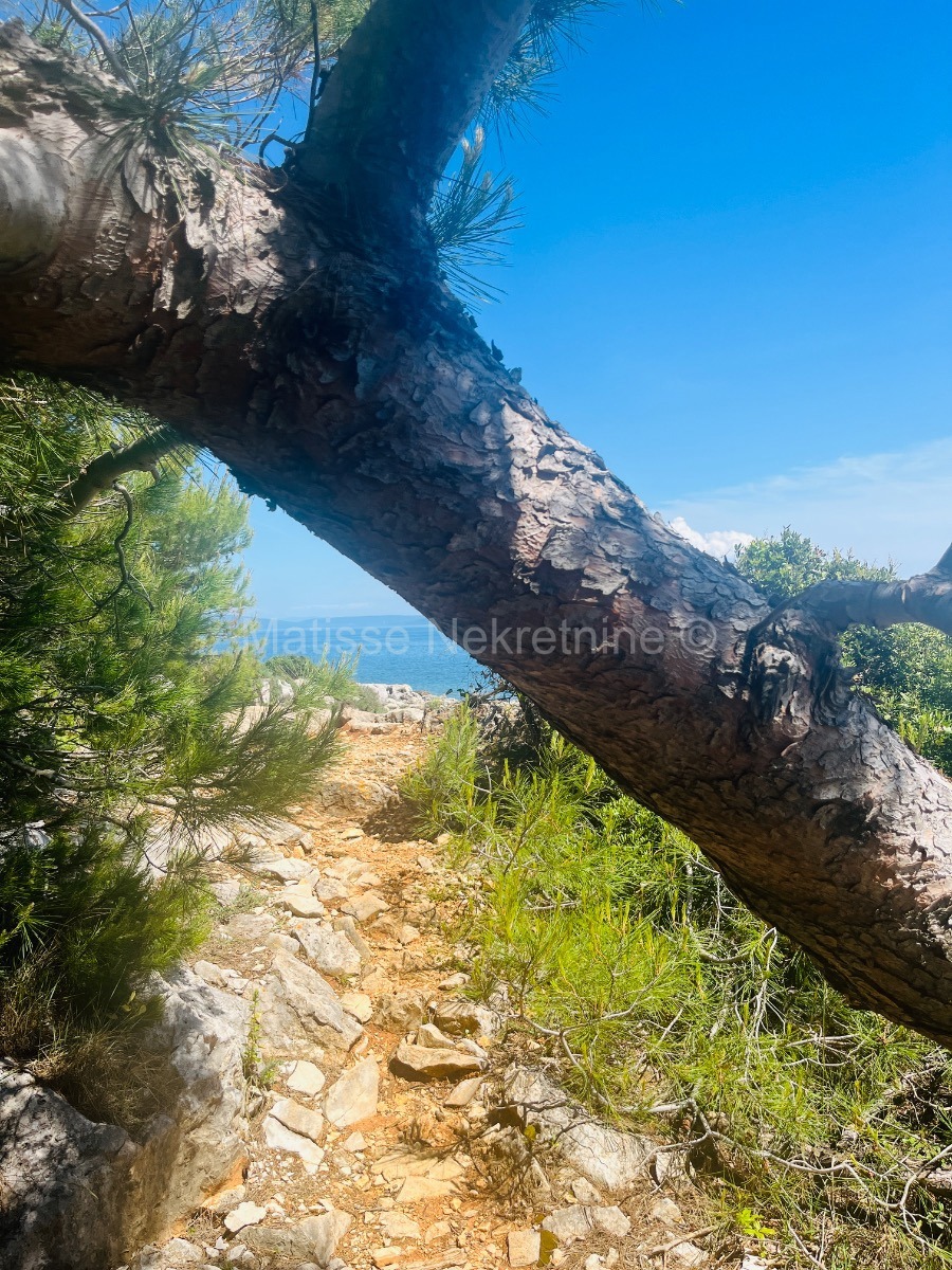 Istria - building plot, your Mediterranean escape!
