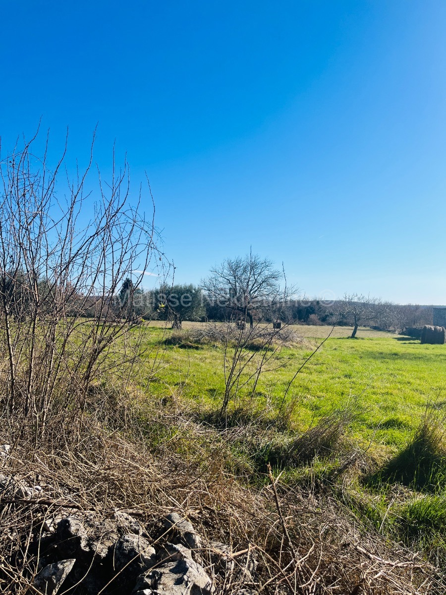 Istria - building plot, your Mediterranean escape!