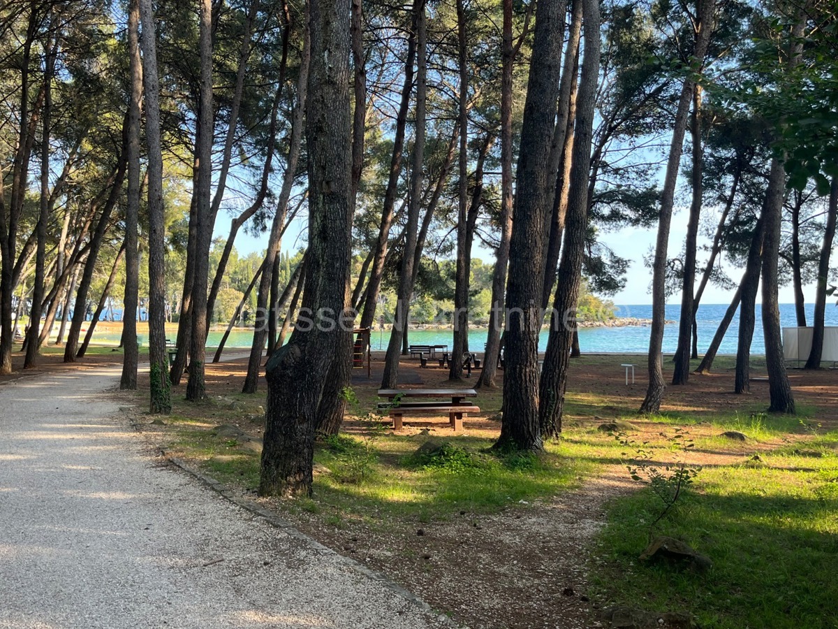 Rovigno - Bellissimo appartamento a soli 10 minuti dalla spiaggia
