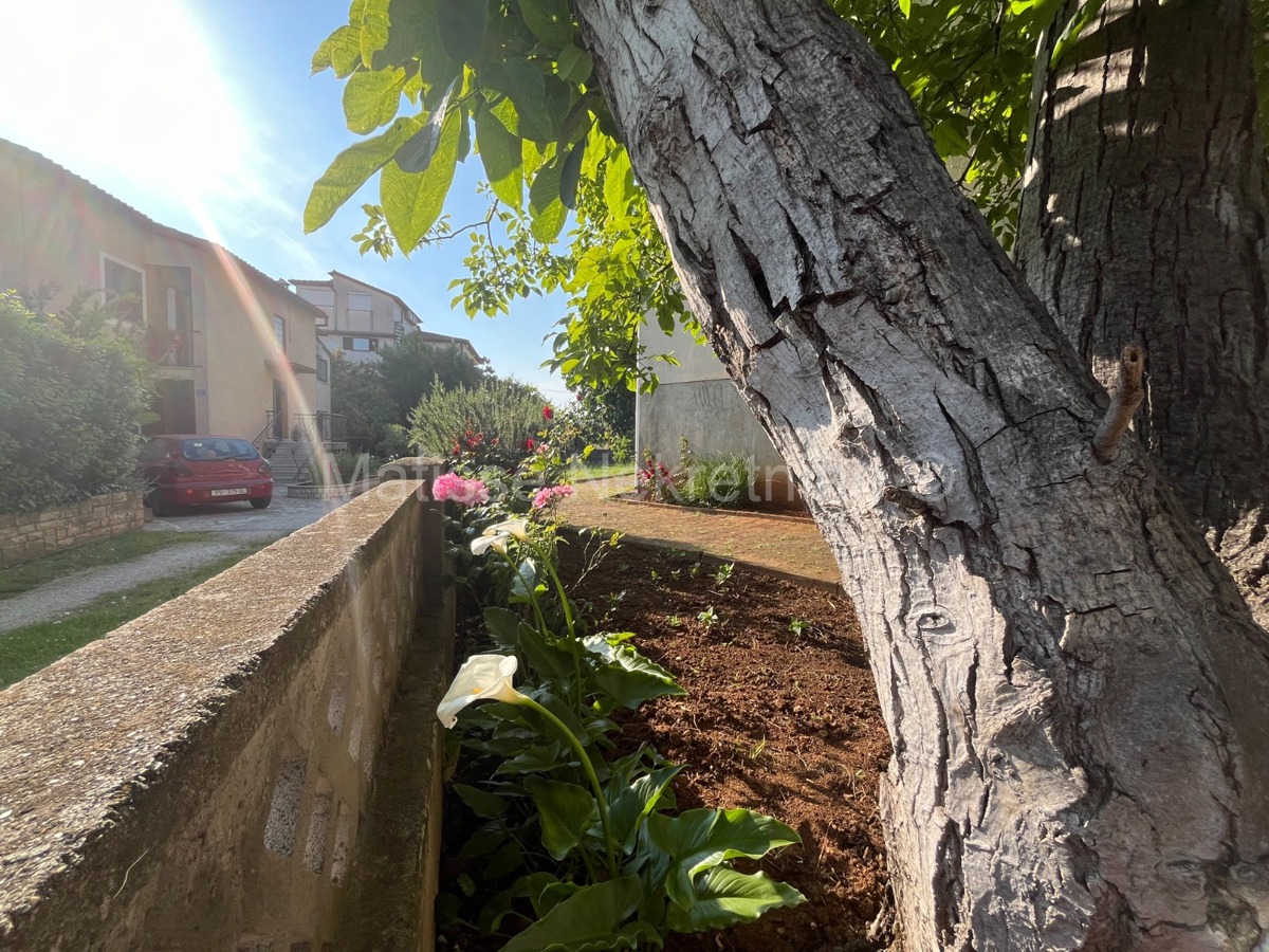Rovigno - Bellissimo appartamento a soli 10 minuti dalla spiaggia