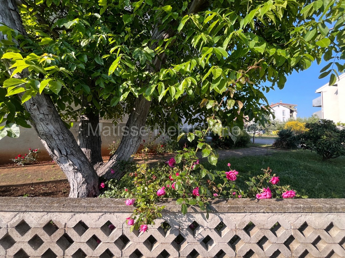 Rovigno - Bellissimo appartamento a soli 10 minuti dalla spiaggia