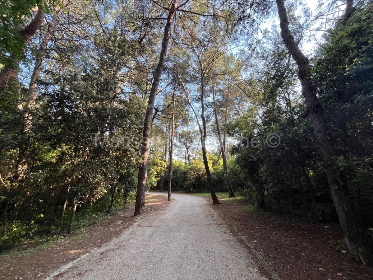 Rovigno - Bellissimo appartamento a soli 10 minuti dalla spiaggia