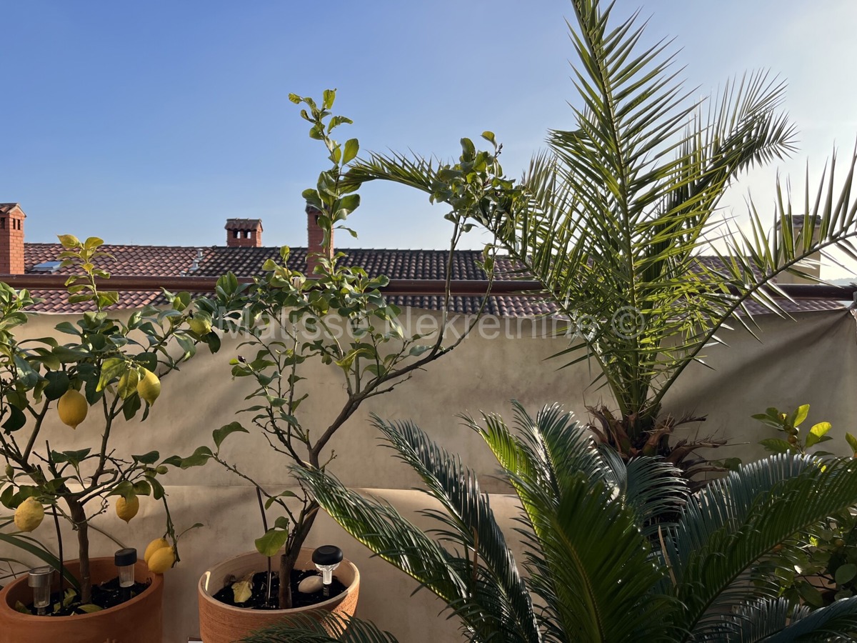 Pola – Appartamento in posizione tranquilla con due terrazze