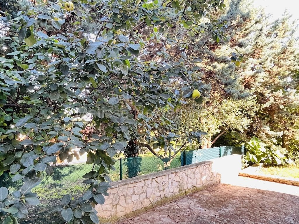 Ližnjan - Bellissimo appartamento con terrazza e giardino, immerso nel verde