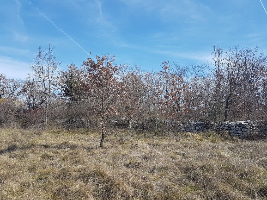 Dintorni Dignano Una grande tenuta rurale con oggetti in pietra e vista sul mare