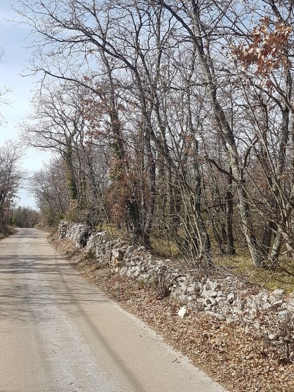 Dintorni Dignano Una grande tenuta rurale con oggetti in pietra e vista sul mare