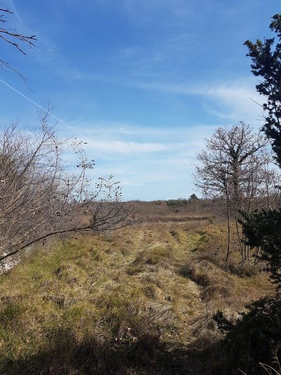 Dintorni Dignano Una grande tenuta rurale con oggetti in pietra e vista sul mare