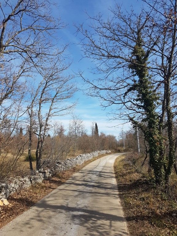 Dintorni Dignano Una grande tenuta rurale con oggetti in pietra e vista sul mare