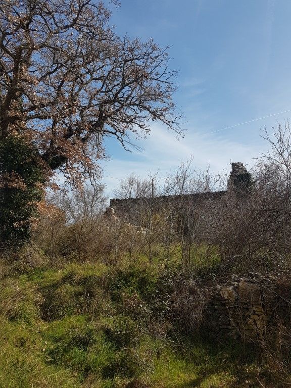 Dintorni Dignano Una grande tenuta rurale con oggetti in pietra e vista sul mare