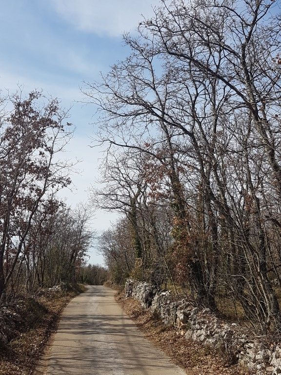 Dintorni Dignano Una grande tenuta rurale con oggetti in pietra e vista sul mare