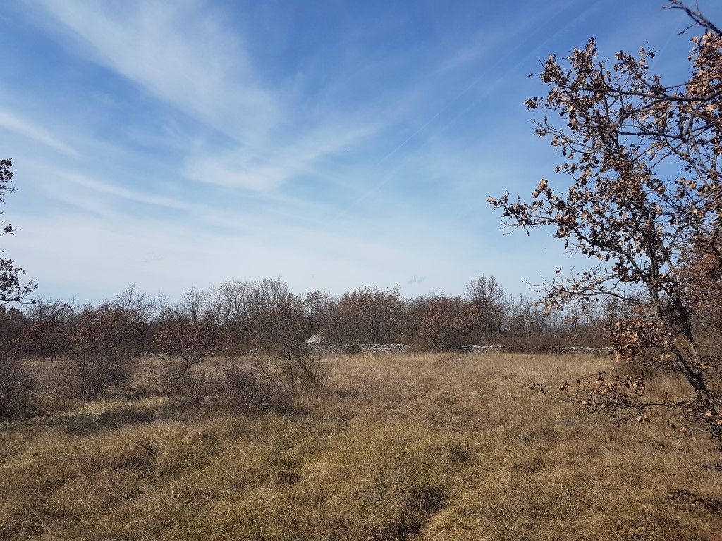 Dintorni Dignano Una grande tenuta rurale con oggetti in pietra e vista sul mare