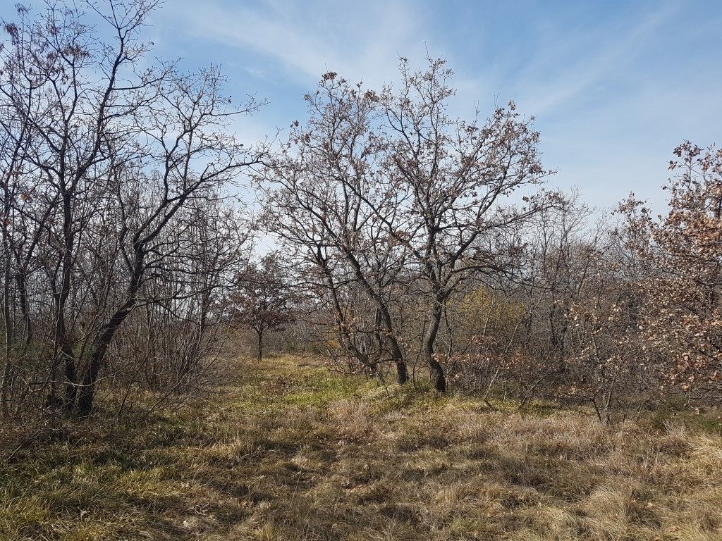 Dintorni Dignano Una grande tenuta rurale con oggetti in pietra e vista sul mare