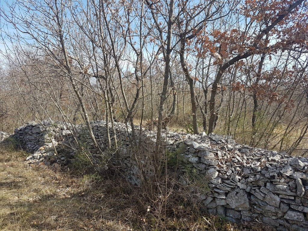 Dintorni Dignano Una grande tenuta rurale con oggetti in pietra e vista sul mare