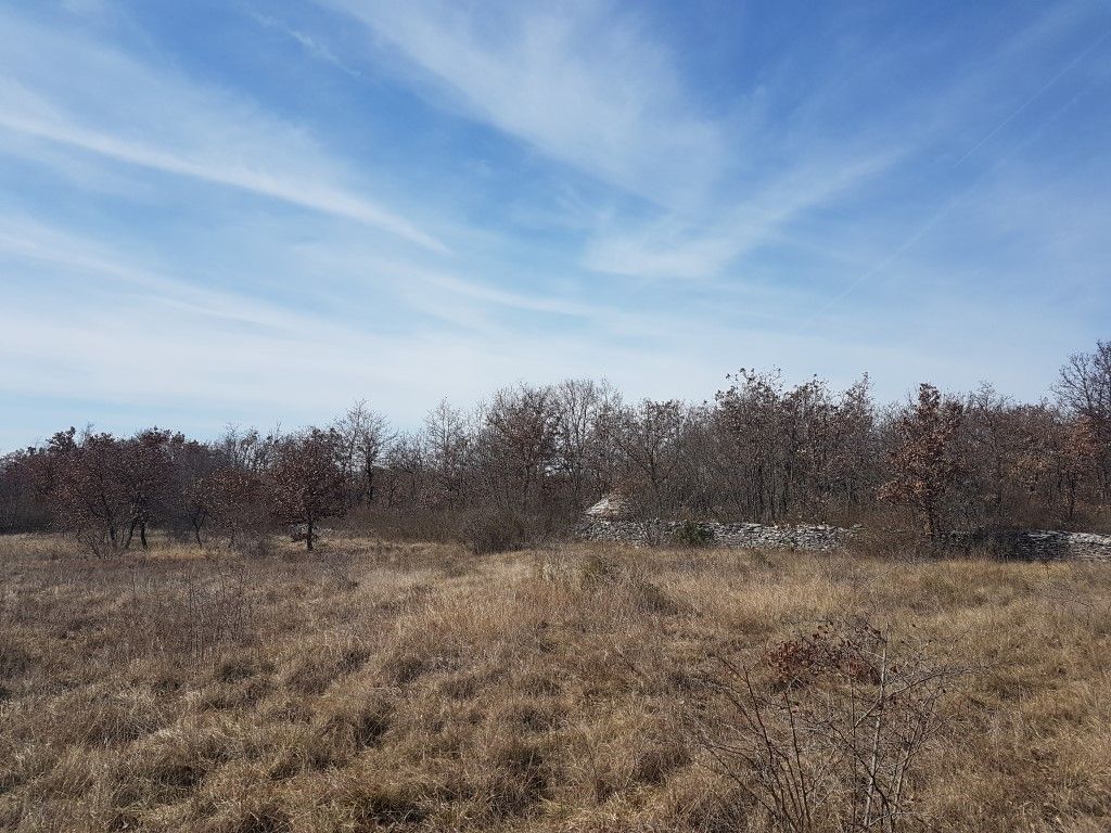 Dintorni Dignano Una grande tenuta rurale con oggetti in pietra e vista sul mare