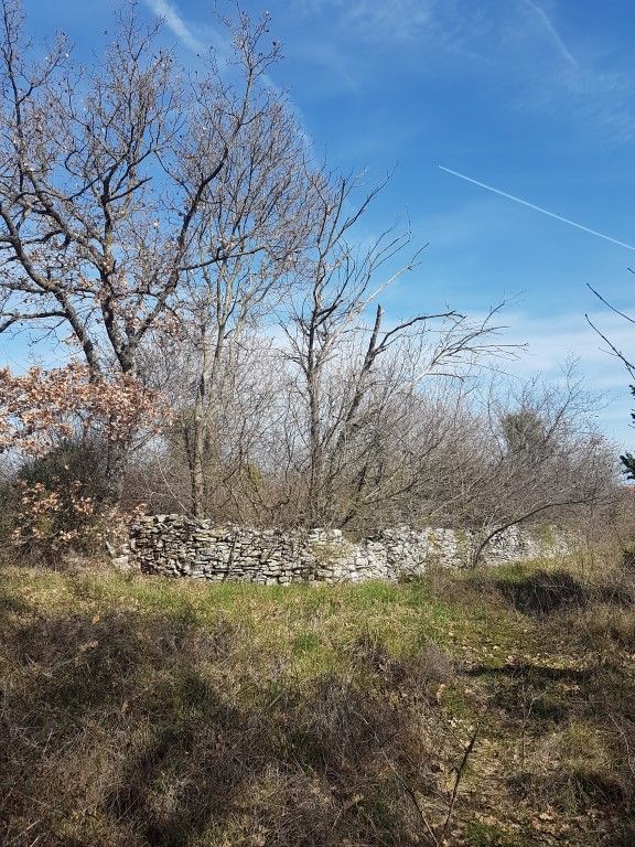 Dintorni Dignano Una grande tenuta rurale con oggetti in pietra e vista sul mare