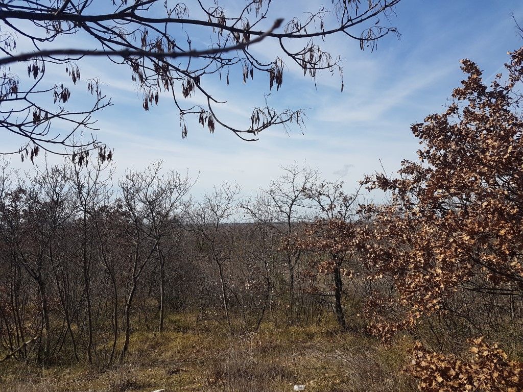 Dintorni Dignano Una grande tenuta rurale con oggetti in pietra e vista sul mare