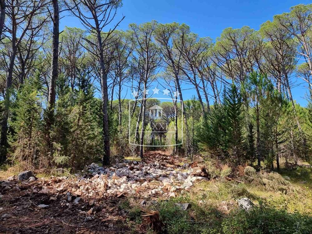 Terreno Bokanjac, Zadar, 39.664m2