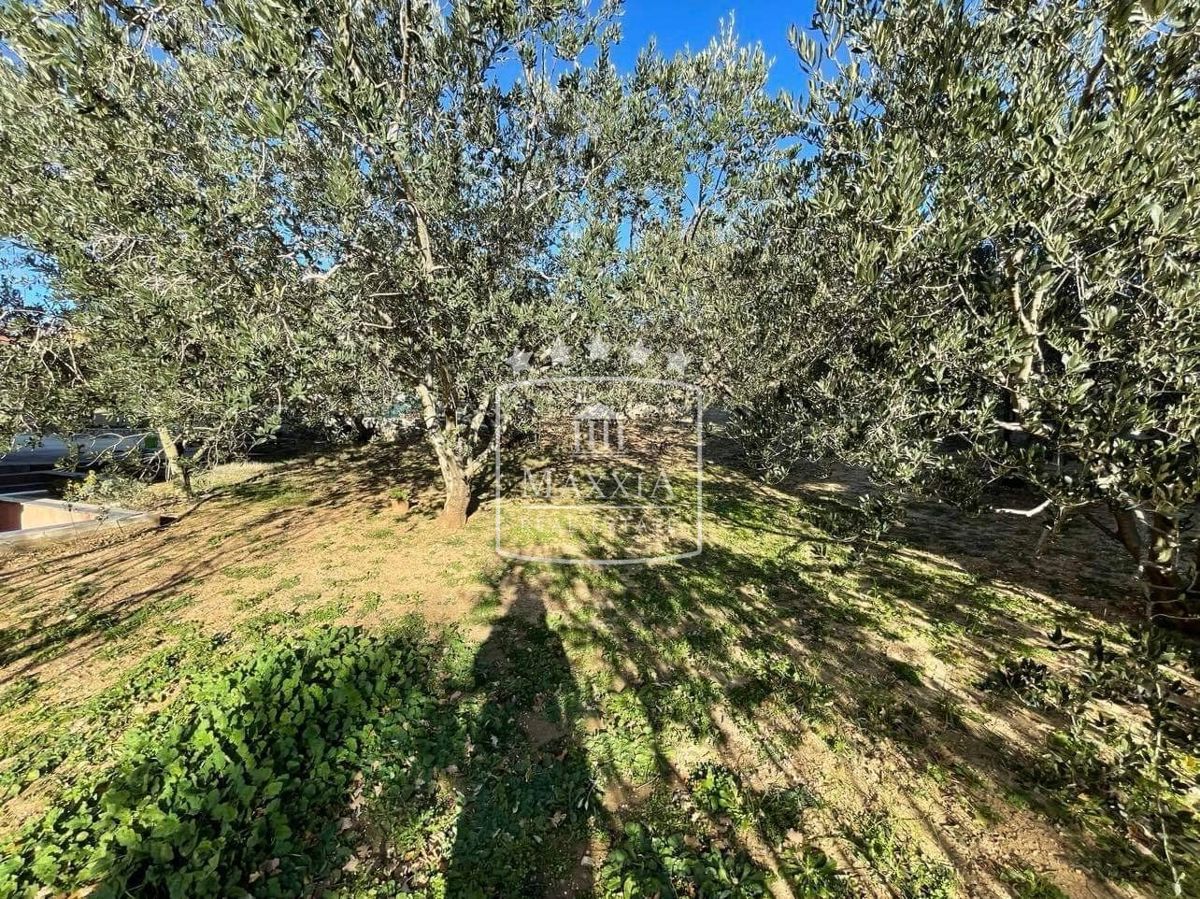 Casa Maslenica, Jasenice, 398,75m2