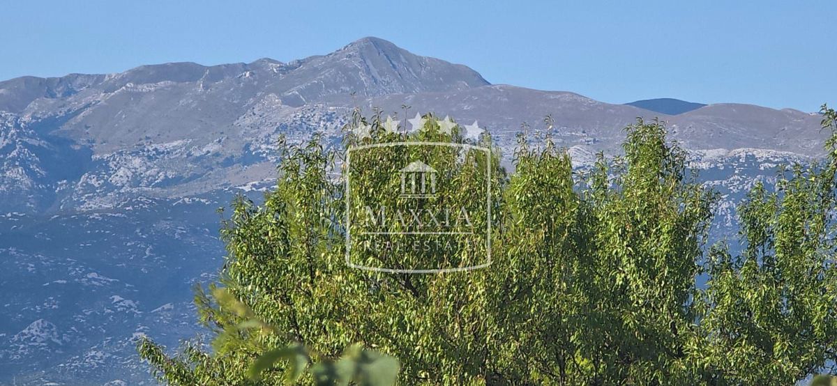 Terreno Pridraga, Novigrad