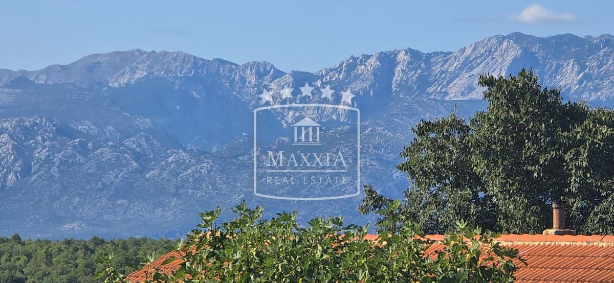 Terreno Pridraga, Novigrad