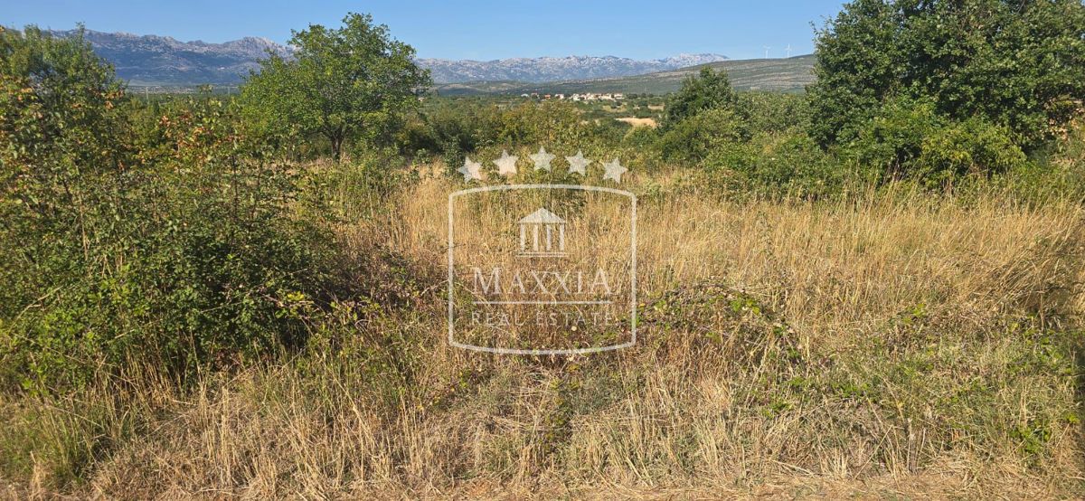 Terreno Pridraga, Novigrad