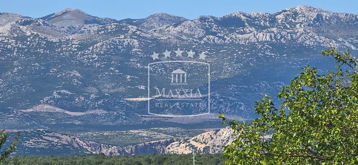 Terreno Pridraga, Novigrad