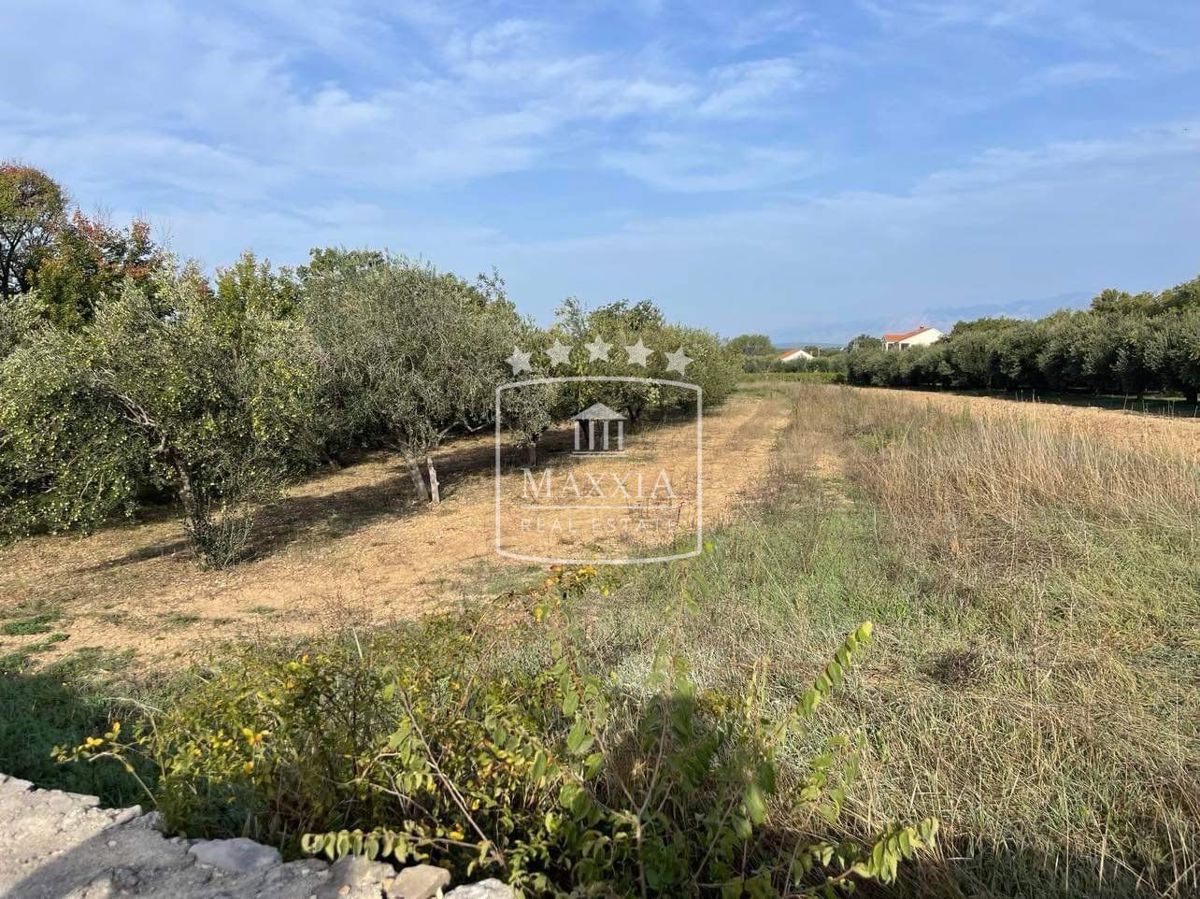 Terreno Pridraga, Novigrad, 2.162m2