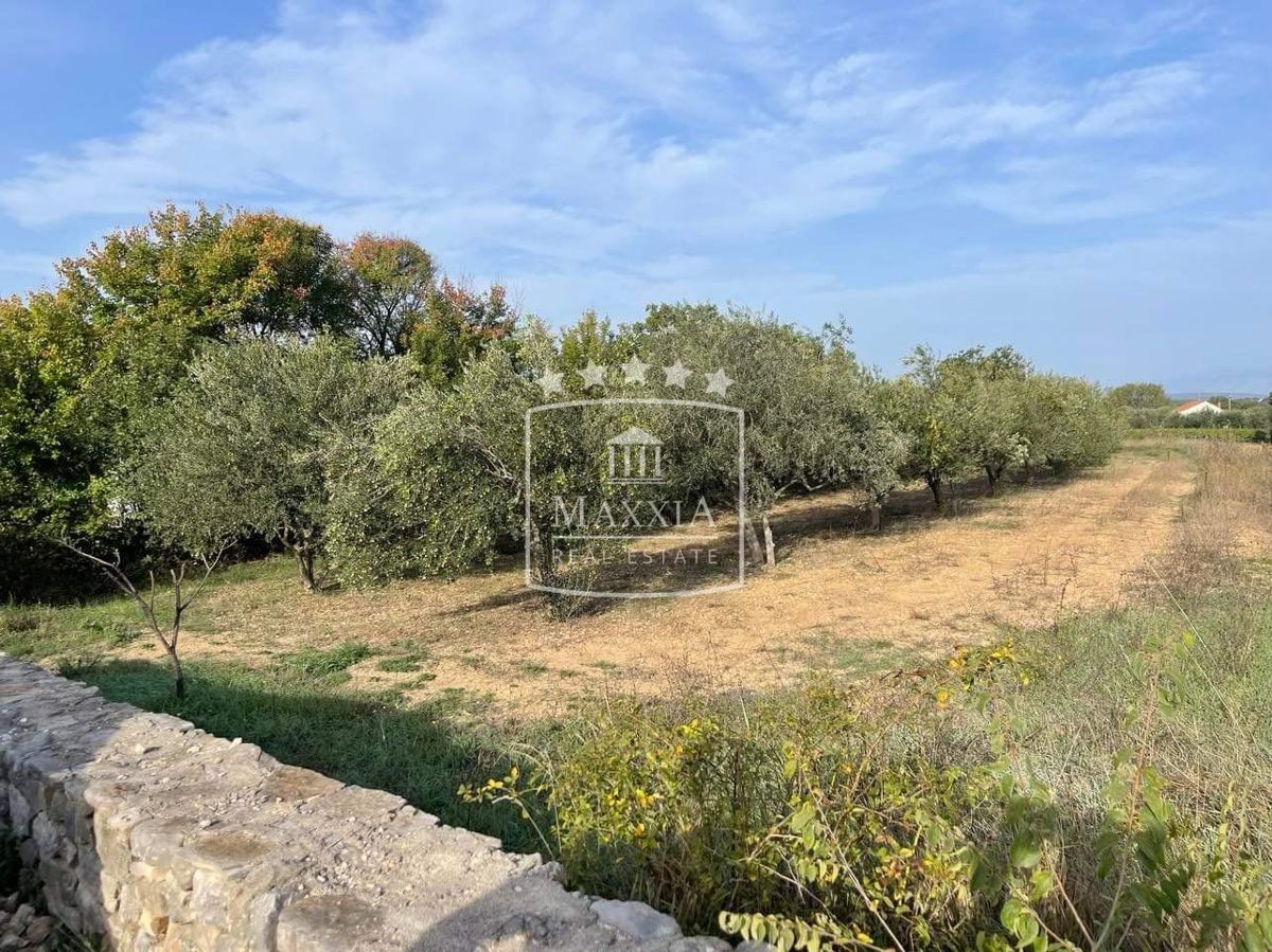 Terreno Pridraga, Novigrad, 2.162m2