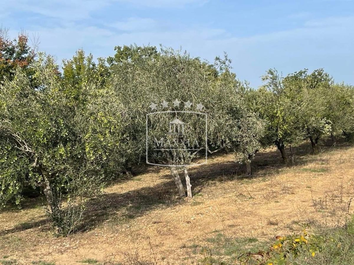 Terreno Pridraga, Novigrad, 2.162m2