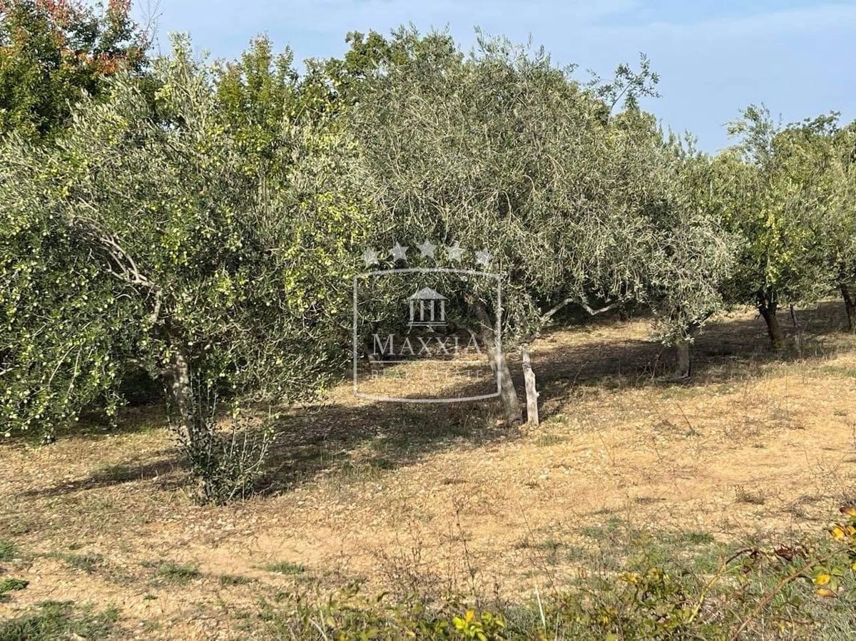 Terreno Pridraga, Novigrad, 2.162m2