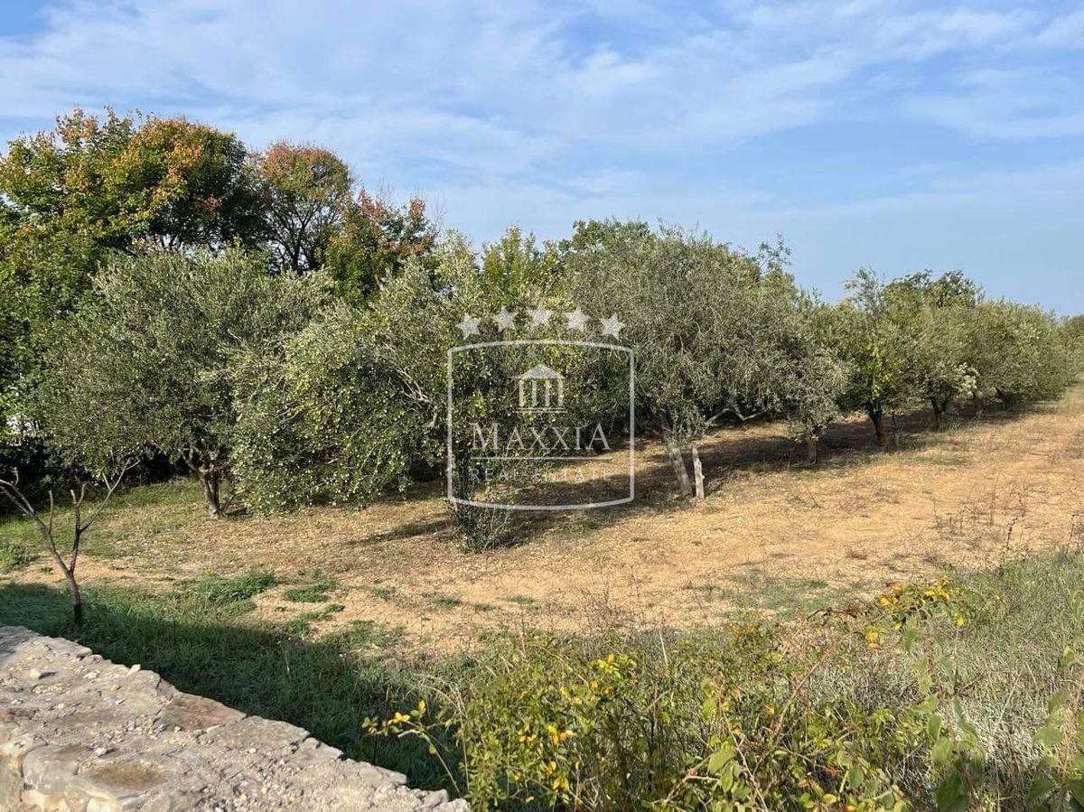 Terreno Pridraga, Novigrad, 2.162m2