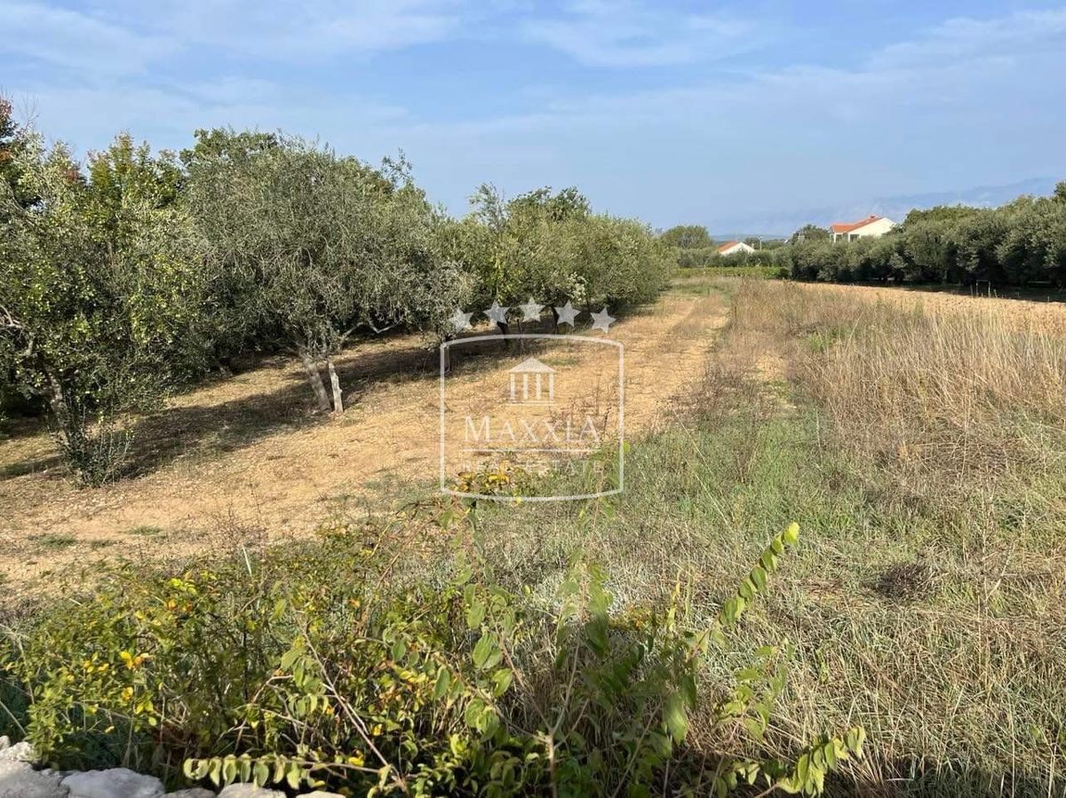 Terreno Pridraga, Novigrad, 2.162m2