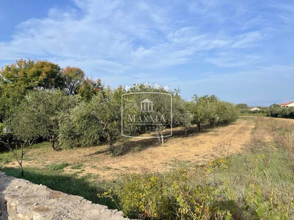 Terreno Pridraga, Novigrad, 2.162m2