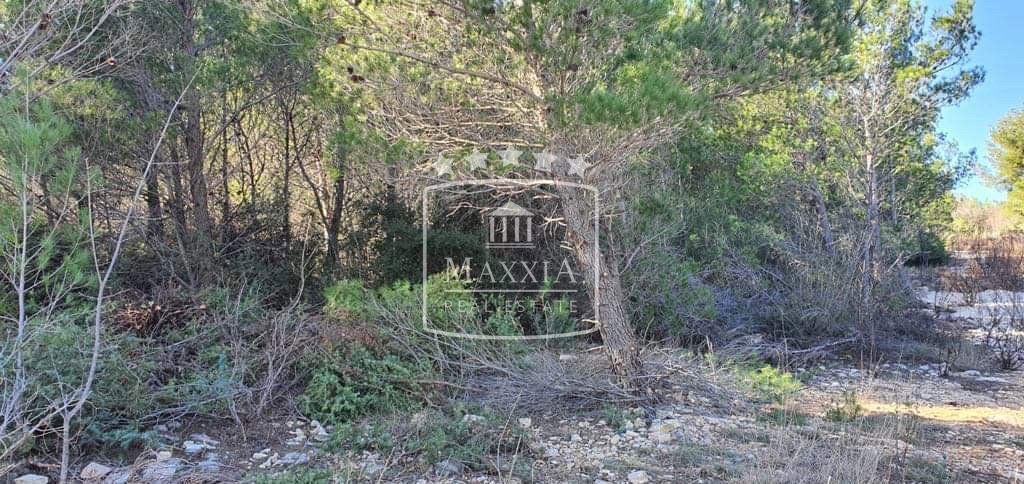 Terreno Pridraga, Novigrad, 805m2