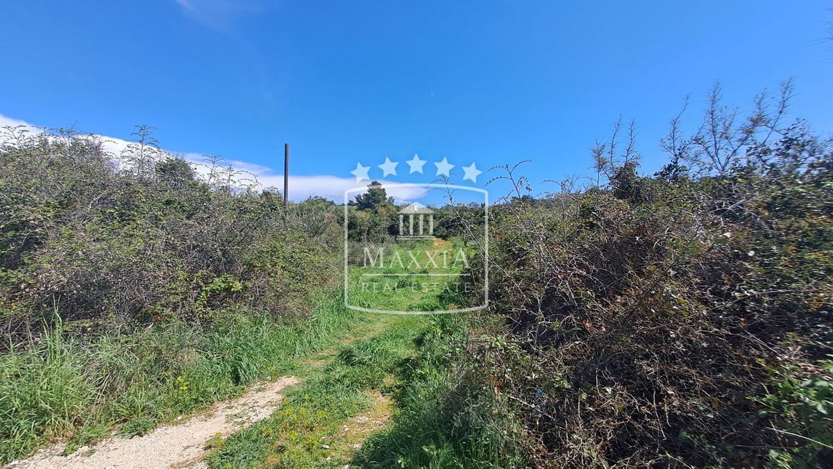 Terreno Crno, Zadar, 2.946m2