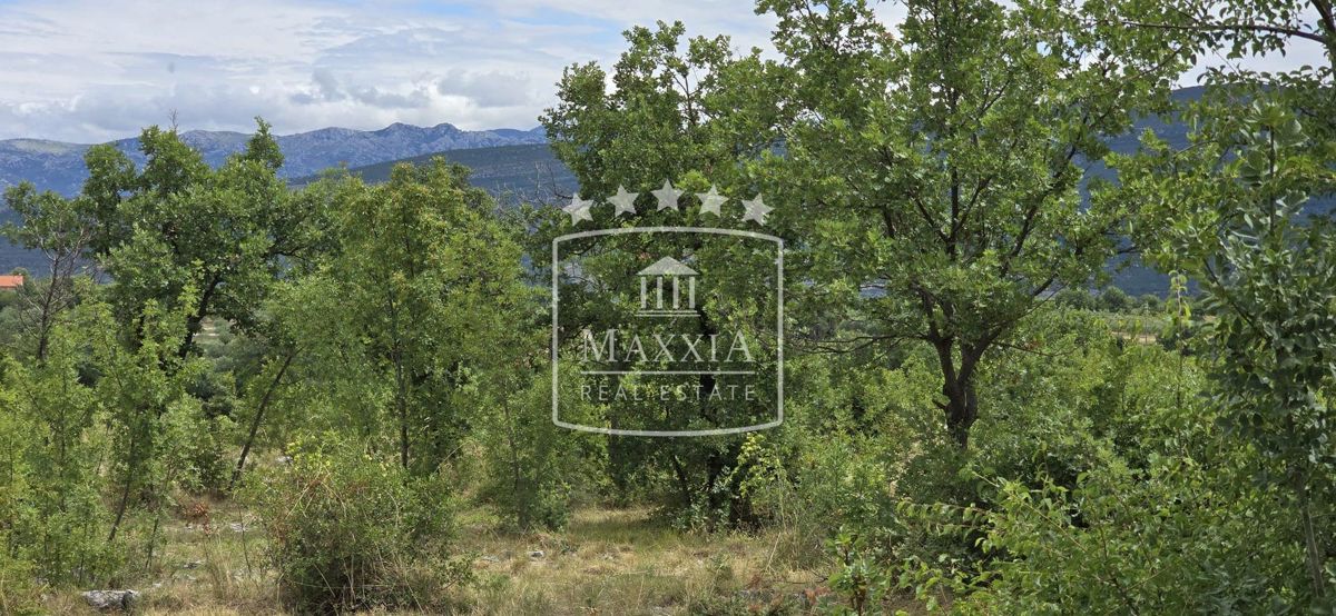 Terreno Pridraga, Novigrad, 895m2