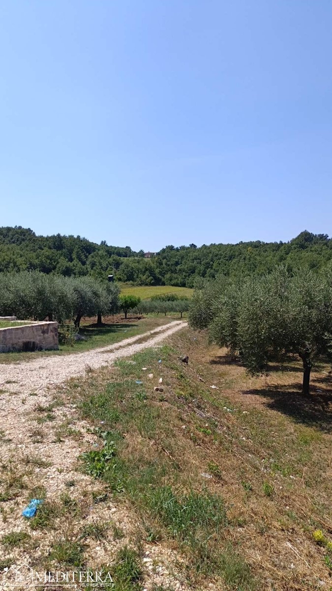 Terreno edificabile a Visinada, Istria