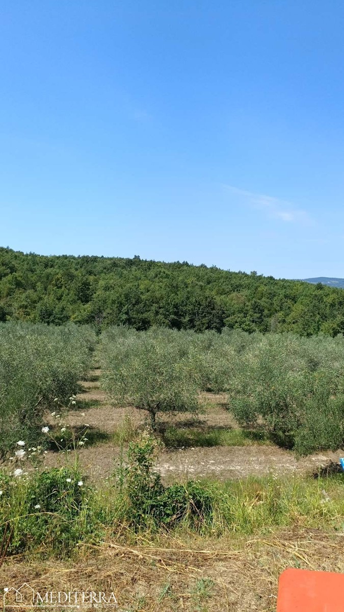 Terreno edificabile a Visinada, Istria