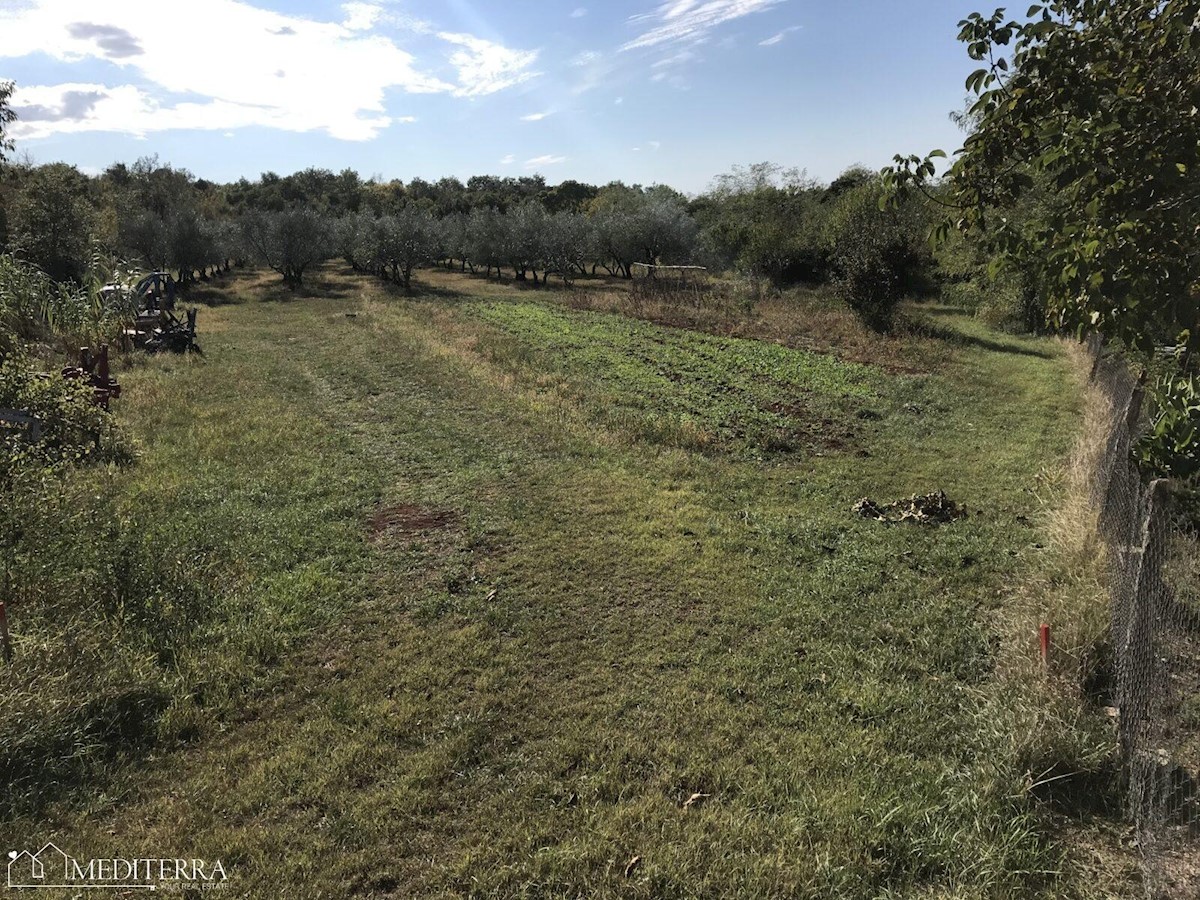 Terreno edificabile 3000m2, con vista mare, a 10 km da Cittanova, Istria