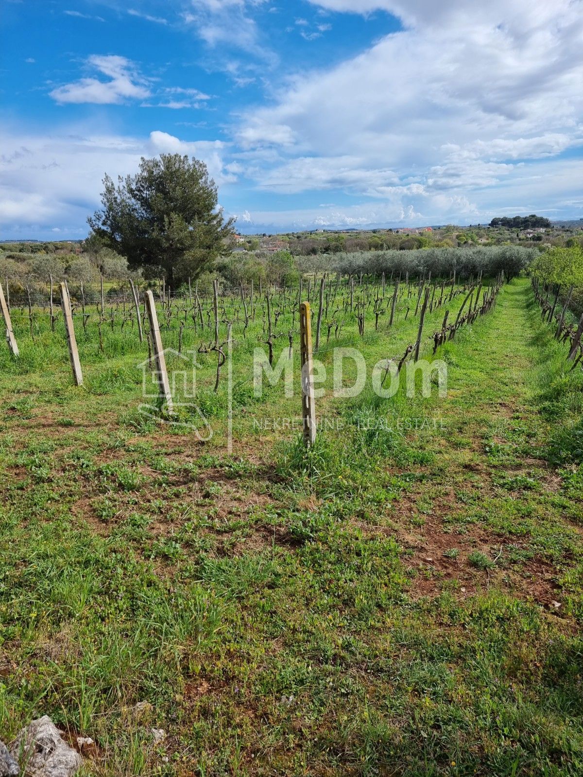 Terreno Šikići, Pula, 23.335m2