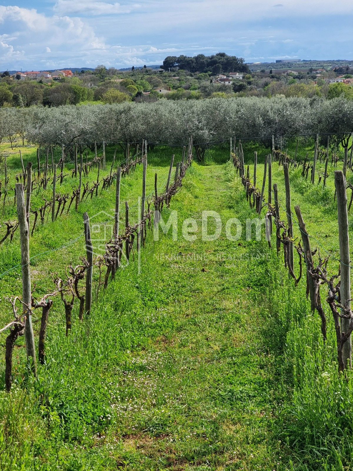 Terreno Šikići, Pula, 23.335m2