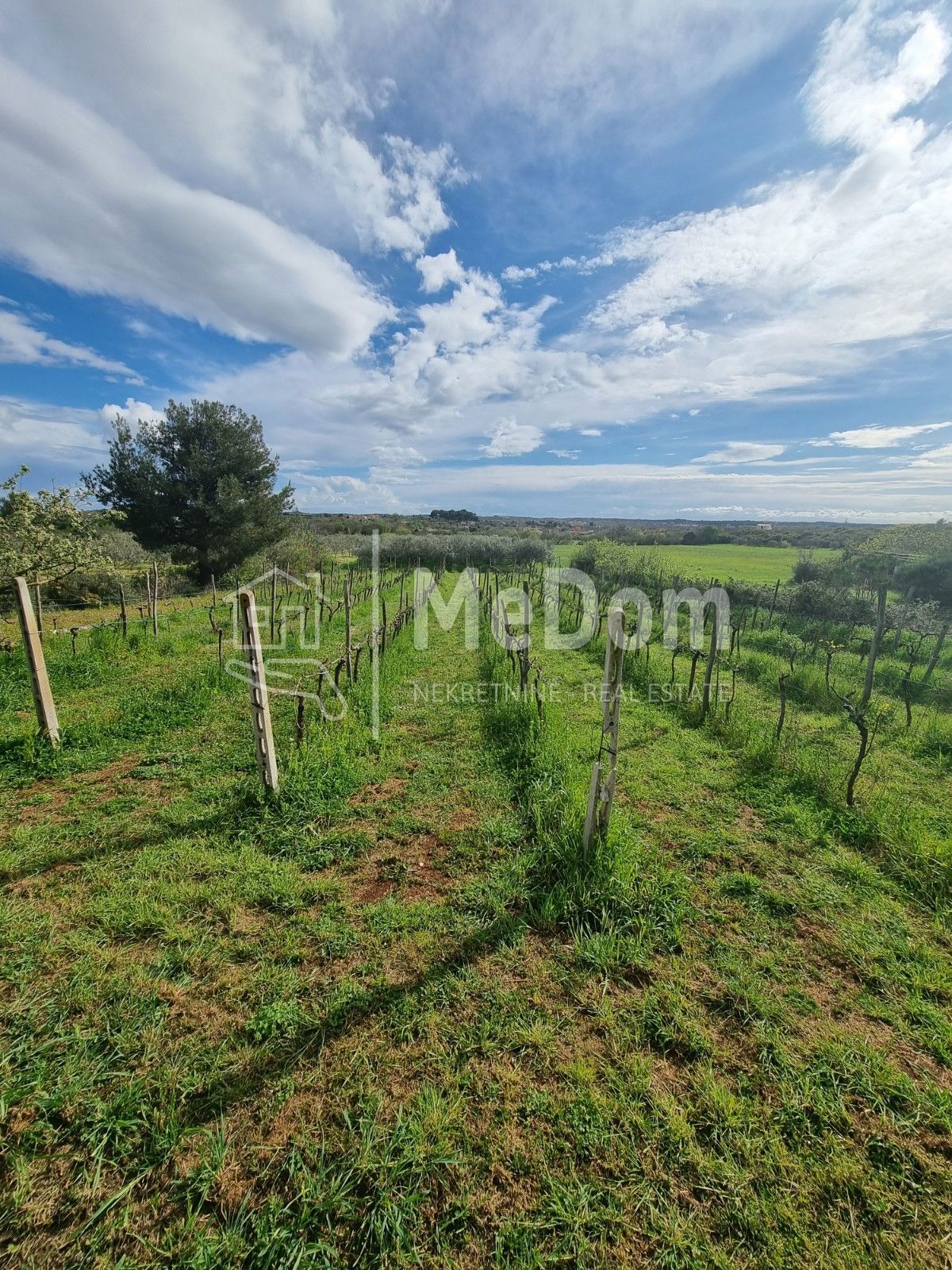 Terreno Šikići, Pula, 23.335m2