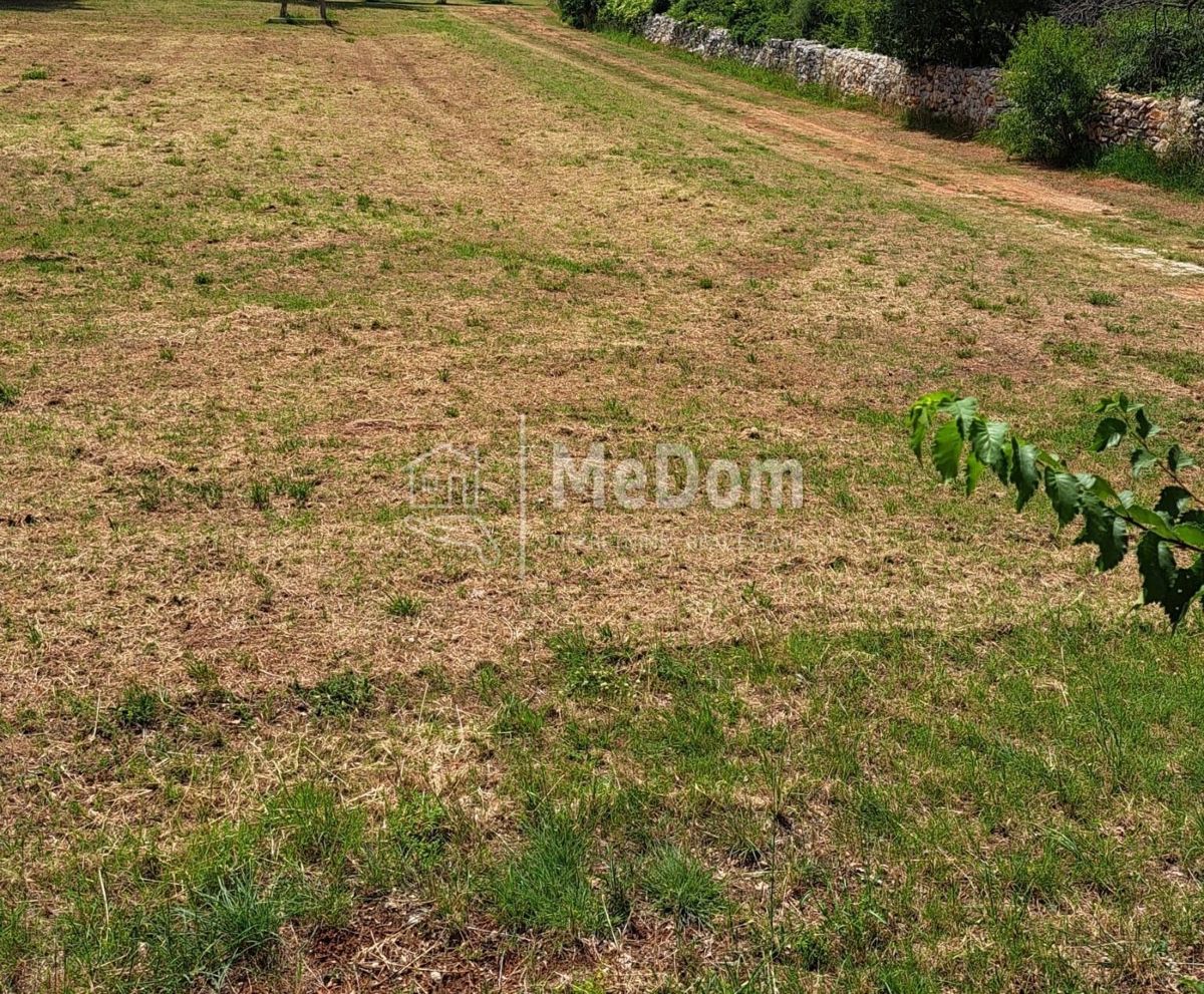 Terreno Vodnjan, 7.379m2