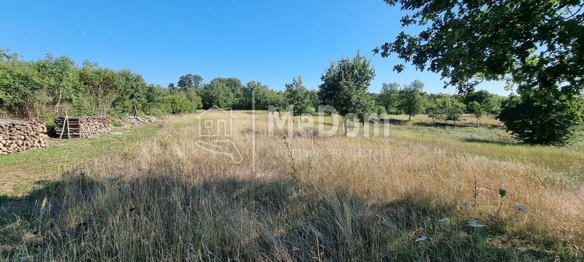 Terreno Žbandaj, Poreč, 20.024m2