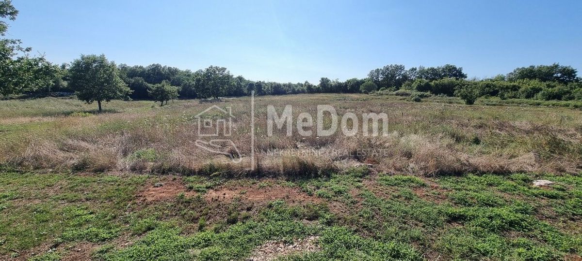 Terreno Žbandaj, Poreč, 20.024m2