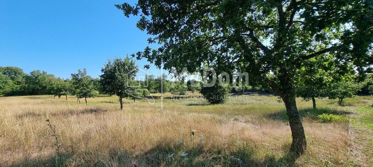 Terreno Žbandaj, Poreč, 20.024m2